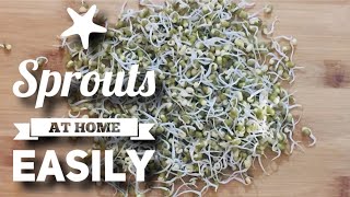 Make Sprouts at Home Easily | The Pepperific