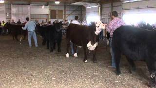 STEER DRIVE.wmv