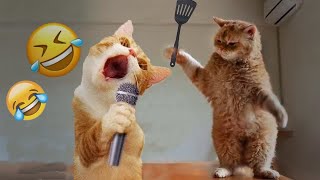 Funniest Cats And Dogs Videos😍- Best Funny Animal Videos 2024😸