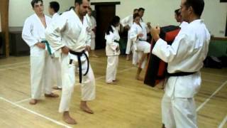 Mae Geri training