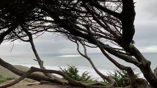 Windy on the coast before the california storm (bombcyclone)