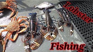 fishing for lobsters UK 🇬🇧