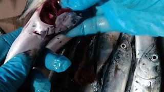 cleaning fish 🐠🐠🐠🐟🐟#asmr #satisfying #foryou #youtube