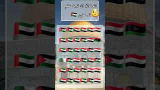 اتحداك ان تجد علم فلسطين 🇵🇸🤍#subscribe #العرب #shorts #فلسطين