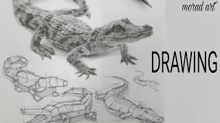 How to draw a crocodile in more than one way | Very easy |  Pencil drawing lines