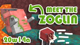 Meet The Zoglin And Faster Striders! (Minecraft Snapshot 20w14a)