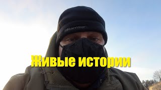 Живые истории.