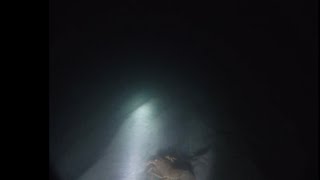 Weird Mystery Croaking Sound On my First Night Dive Ever!