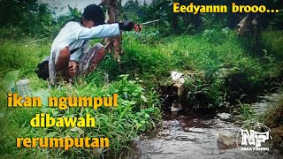 edyannnn bro...ikan ngumpul depan mata...#mancingselokan #microfishing