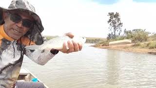 pescaria de piau com molinete próximo ou barranco #pescador