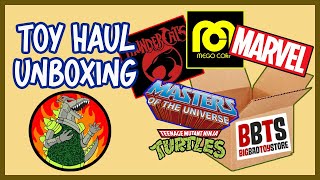 Toy Haul Unboxing from BBTS