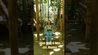 WISATA ALAM_KAYU JATI MOPUYA