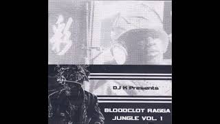 Bloodclot Ragga Jungle Vol 1