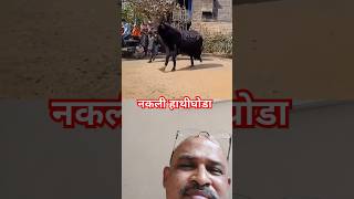 नकली हाथीघोडा #shorts #youtubeshorts #Vipul #trending #funny #elephant #hours