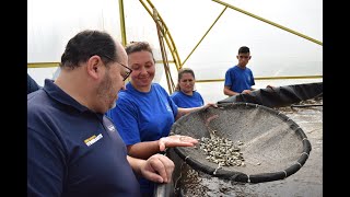 Piscicultura: Renda extra para o produtor rural e alimento saudável na mesa dos gaúchos!