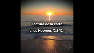 Lectura de la carta a los Hebreos (2,5-12)