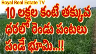 land for sale||vari polam||Nellore land||Real Estate||Royal Real Estate TV||