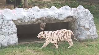 National Zoological park in Delhi