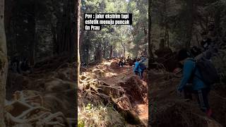 Jalur terberat menuju puncak gunung prau #shorts #pendaki #alam