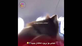 ‎بلیتی بۆ بڕیوە هەقتان چییە🤷🏼‍♂️🤣