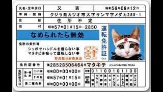 4月1９日水曜日　「大変そうなこと」　ドンキの棚卸