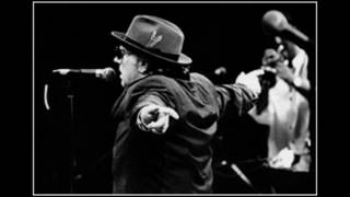 Van Morrison - Summertime in England