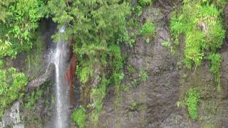 la reunion ocean indien