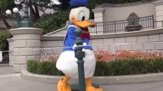 Funny donald duck Disneyland Paris