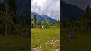 Beauty Of Arangkel #shorts #ytshorts #youtubeshorts #kashmir