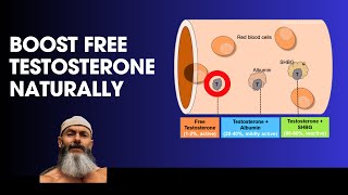 Boost Free Testosterone Naturally