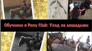 Уход за Лошадьми чистка и седловка | Horseback care - cleaning and saddles