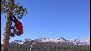 Lembert dome tree climb