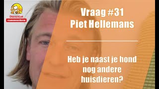 Vraag #31 DierenLot - Piet Hellemans