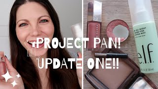 PROJECT PAN 2024!! UPDATE ONE - February!