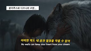 🍃 반복되는 삶에 지친 당신을 위한 영상, Charlie Puth - Free [가사/가사해석/가사번역/lyrics]