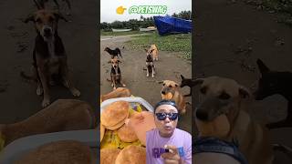 ORANG INI BAIK BANGET ⁉️ BERBAGI MAKANAN #doglover #dog #funny #shorts #shortsviral #baik