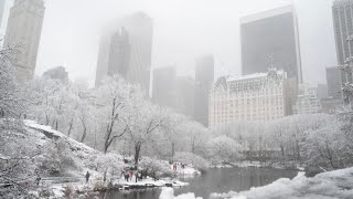 A walk in Central Park- feb.13.2024 🚶‍♂️❄️⛄️❤️