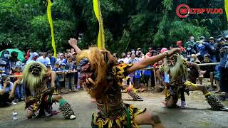 BUTO GALAK GEDRUK live pasar kali pong salaman magelang