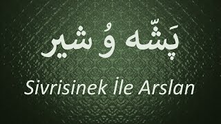 Sivrisinek İle Arslan   /   پَشّه وُ شیر