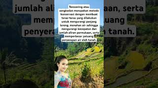 SAWAH TERASIRING,, #langgam #gendingjawa #sawah #suasanakampung #wayangkulit #gugurgunung