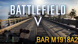 Battlefield V Gameplay BAR M1918A2 (Overview and Gameplay)