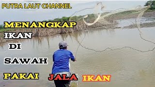 MENJALA ikan di sawah di saat musim penghujan baru tiba atau datang