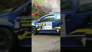 WRC Rally 2019 || Crash and Mistakes 24#shorts