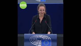 Saskia Bricmont sur le renforcement de la surveillance par l'UE du e-commerce et des importations