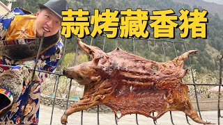 [ENG SUB] 这烤猪表皮居然像饼干一样脆！咔滋咔滋，和好客藏族乡亲一起唱歌吃肉好快乐！【食贫道】