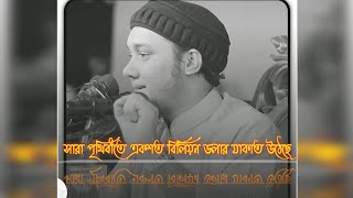 সারা পৃথিবীতে একশত বিলিয়ন ডলার যাকাত উঠেছে সুবহানাল্লাহ 🤲🤲🥰#আবু_ত্বহা_মুহাম্মদ_আদনান #banglawaz