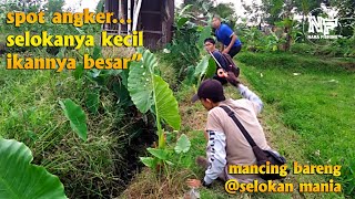 micro fishing || spot angkerrr....selokan kecil ikanya gede" || mancing bareng @selokan mania