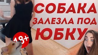 ЗЛОЙ ЩАС МИХАЛИНУУ... МОМЕНТЫ ТВИЧА