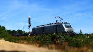 Lohnenswerte Sichtungen in Brühl: Rheincargo (BR 185) , 120 Sandwich mit 101 und mehr!