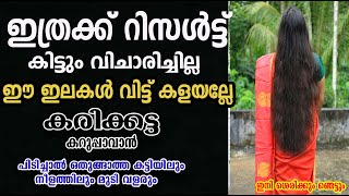 ഈ ഇലകൾ കണ്ടാൽ ഓടിക്കാൻ മറക്കണ്ട /long hair tricks /poppy vlogs /malayalam